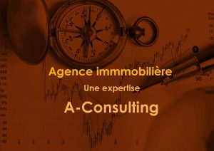 Expertise agence immoblière