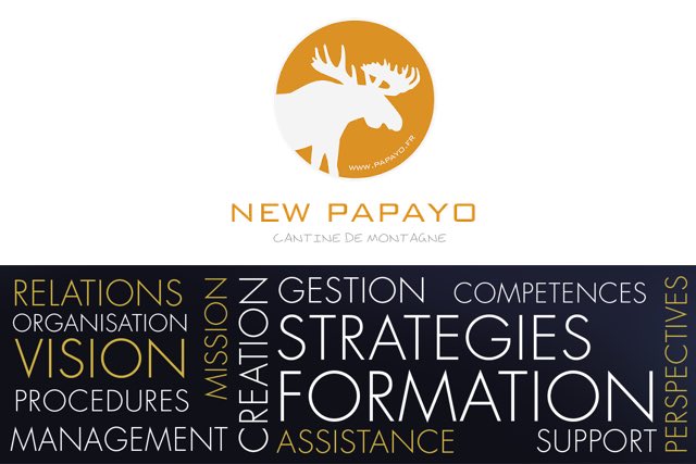 New Papayo création d'entreprise