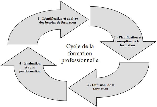Cycle de la formation professionnelle